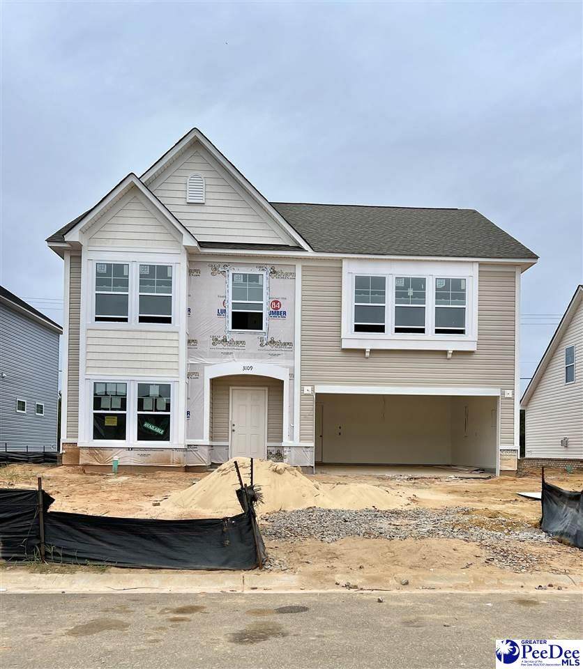 3109 Black Bird Dr (Lot 64) - Photo 1