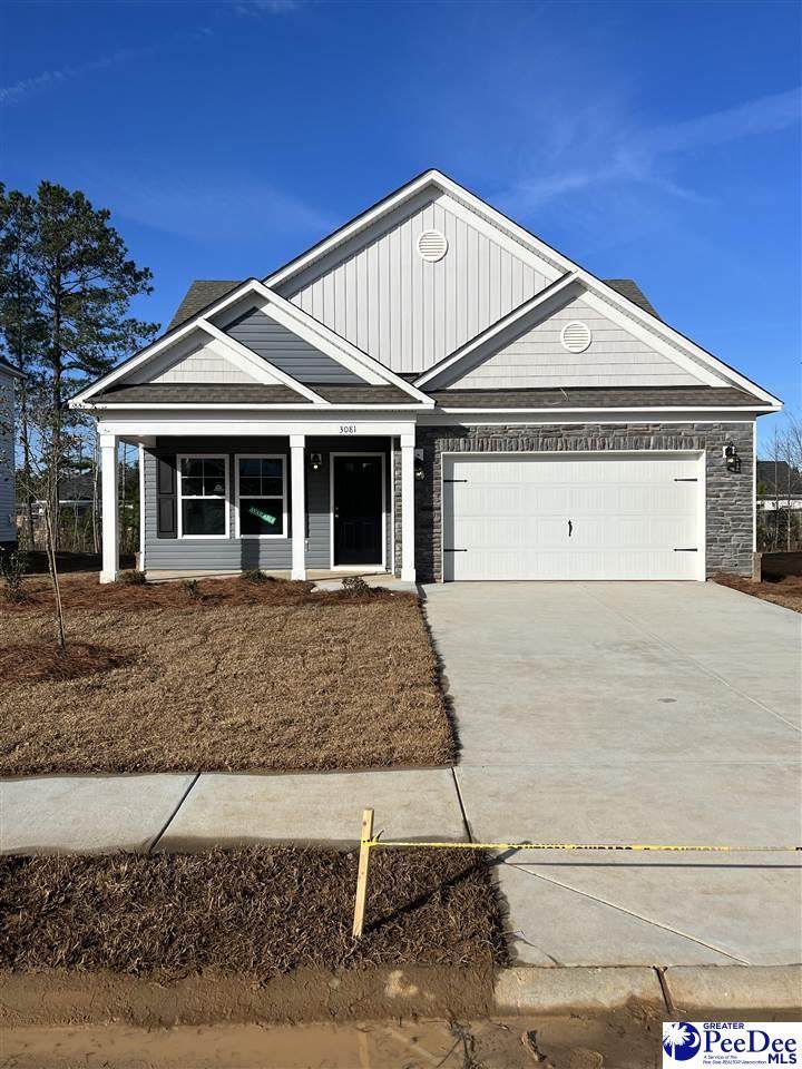 3081 Black Bird Dr (Lot 70) - Photo 1