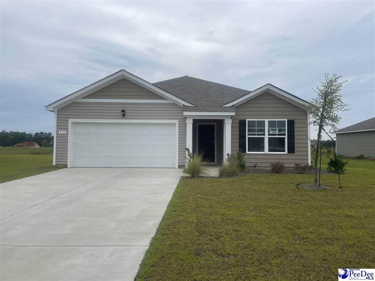 534 Strawberry Field Way (Arai B Lot 124) - Photo 1