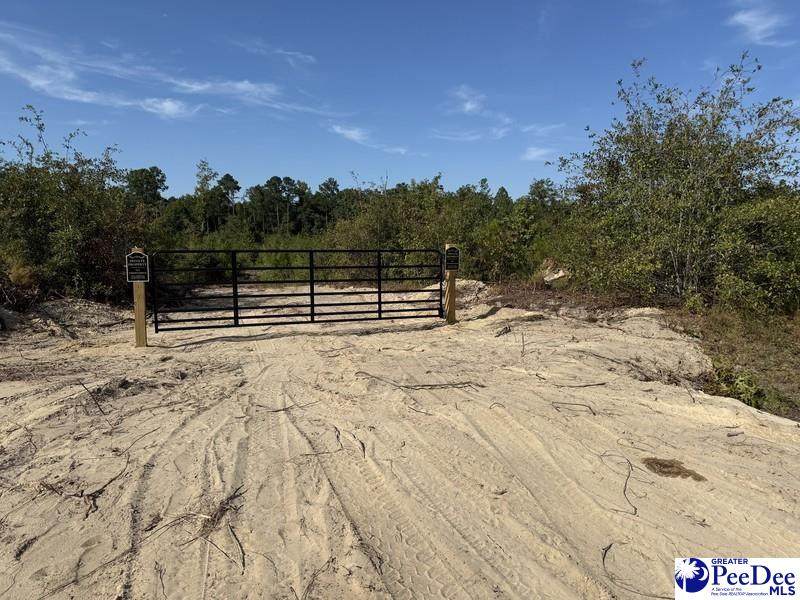 Tract 1 Hallelujah Rd - Photo 1