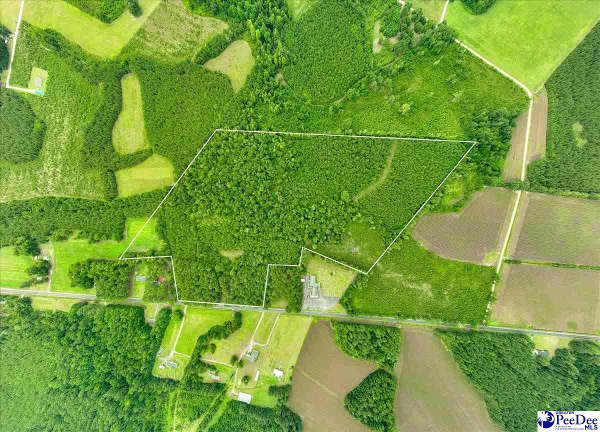 53 Acres Old River Rd - Photo 1
