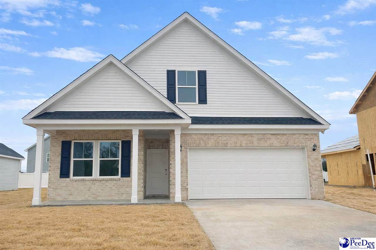 1201 Summer Duck Loop - Photo 1