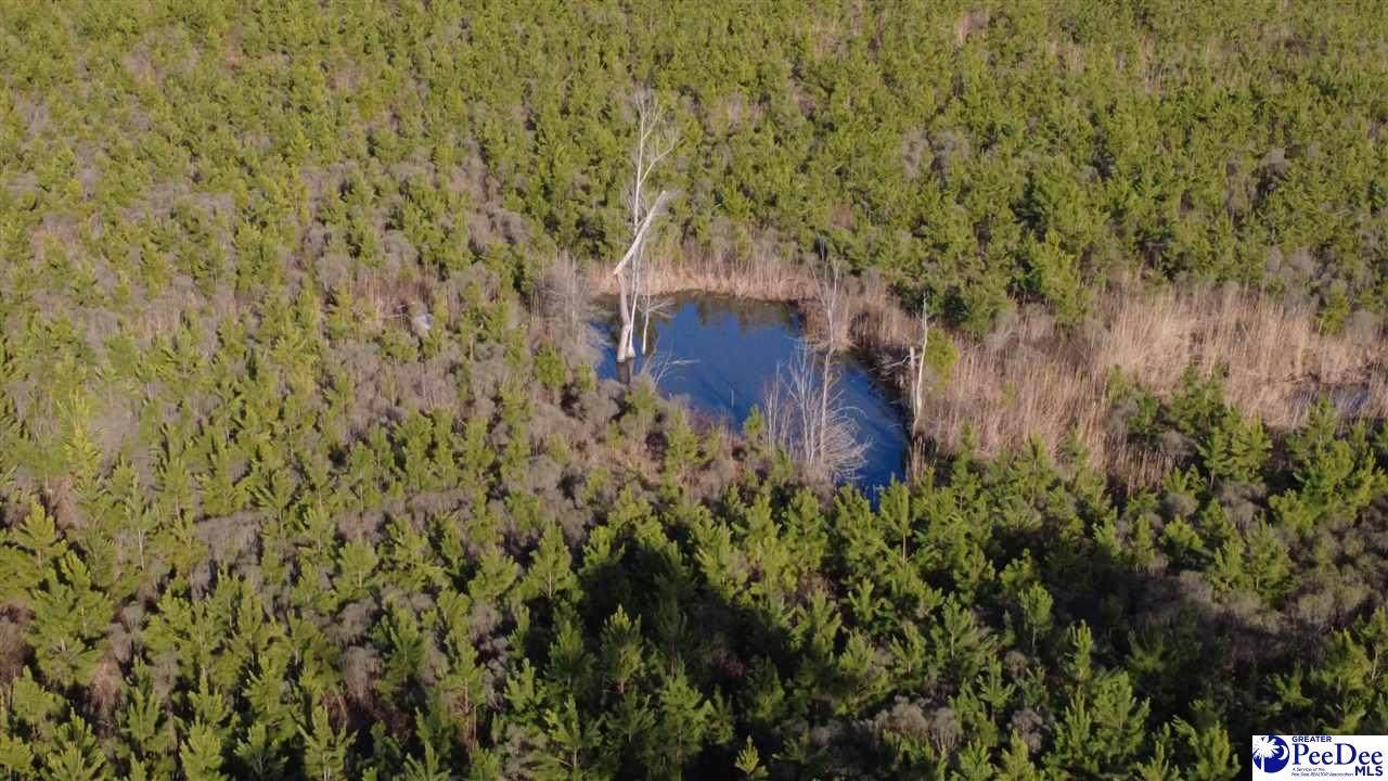 0 (TBD) Bay Catfish Rd. - Photo 1