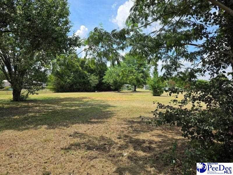 2235 Ashford Rd - Photo 1