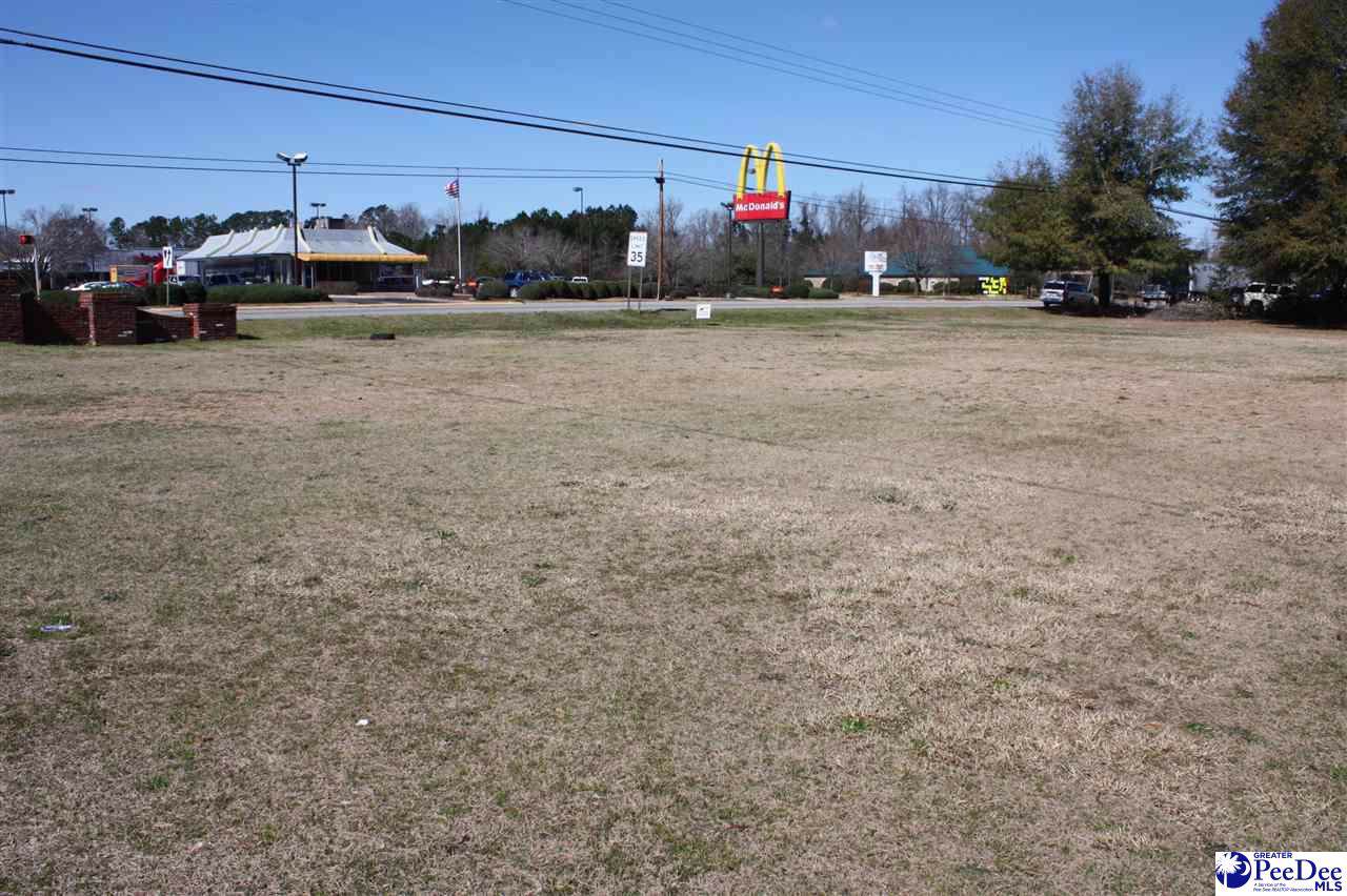 TBD Georgetown Highway - Photo 1