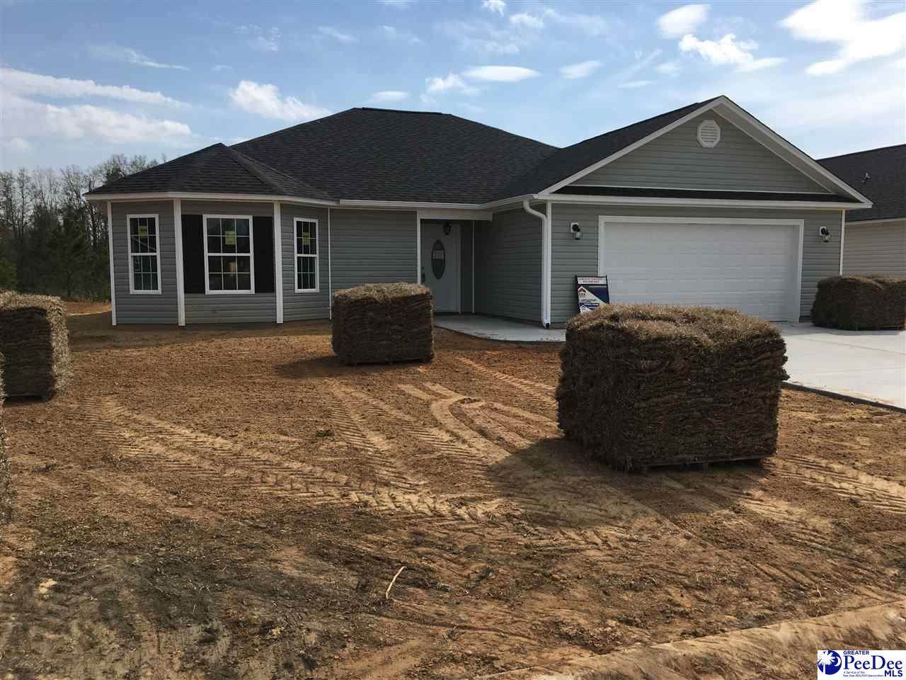 4040 Milan Road - Photo 1