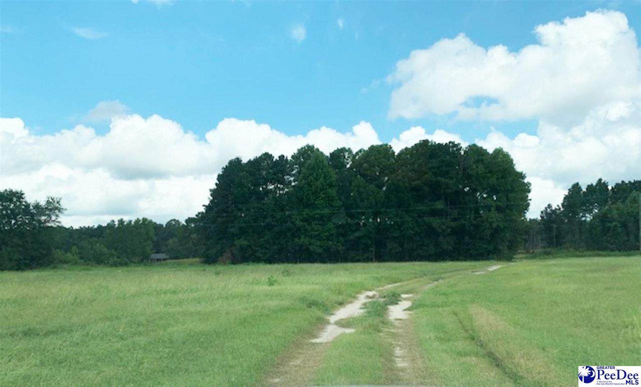 1962 Newman Branch Road - Photo 1