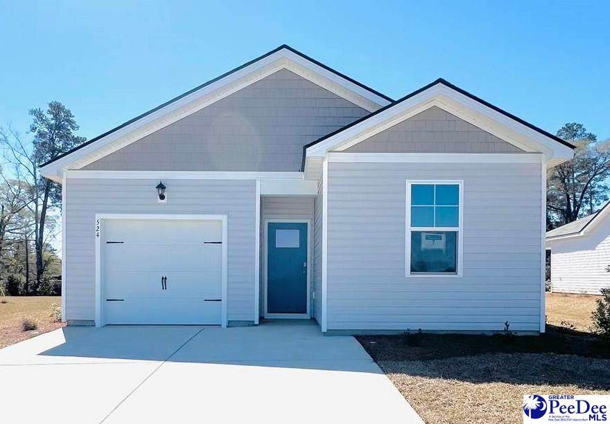 524 Captiva Row Lane - Photo 1