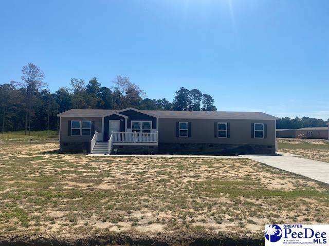 2520 Bridle Path Lane - Photo 1