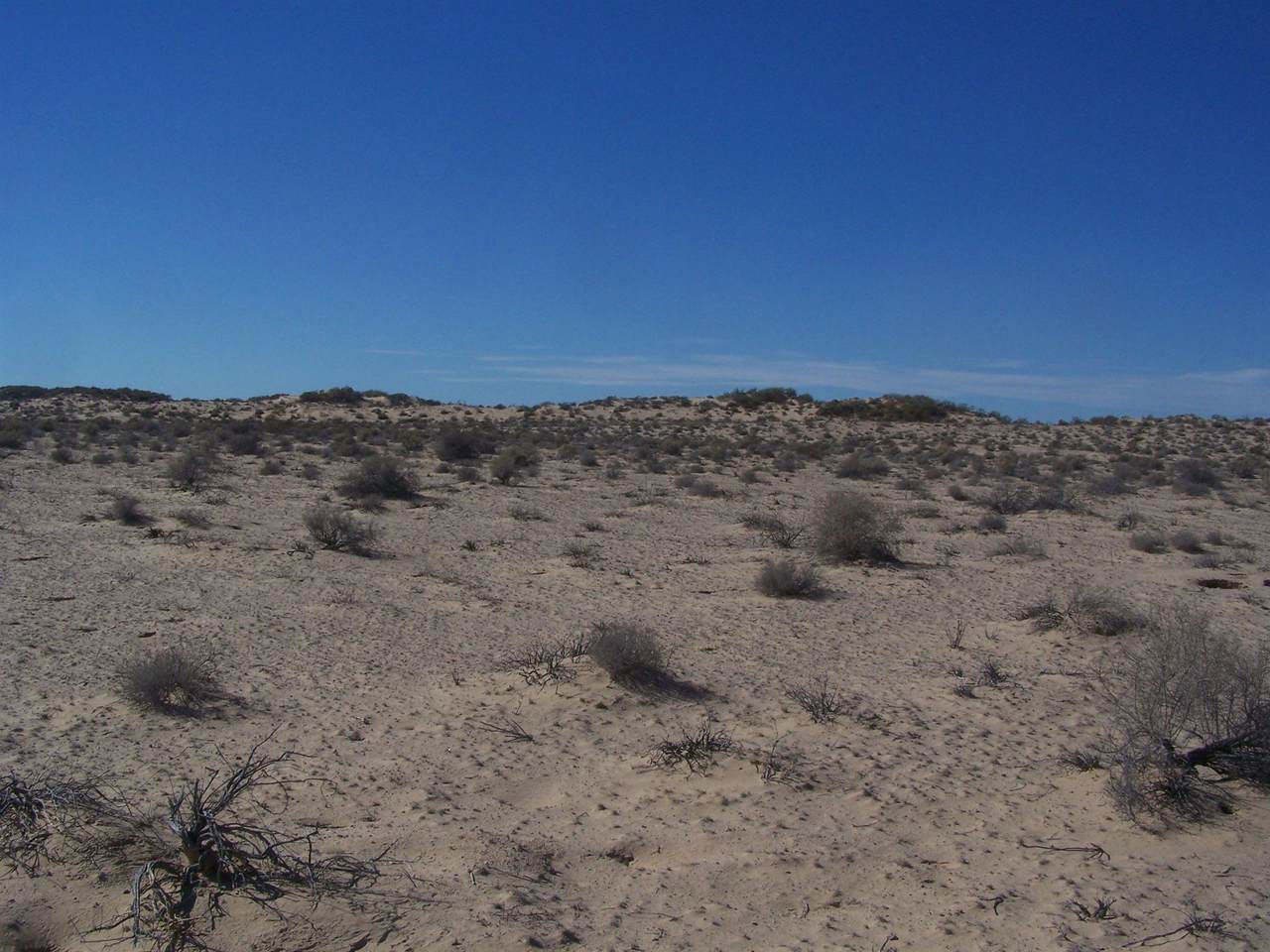 https://bt-photos.global.ssl.fastly.net/penasco/orig_boomver_1_17-120-2.jpg