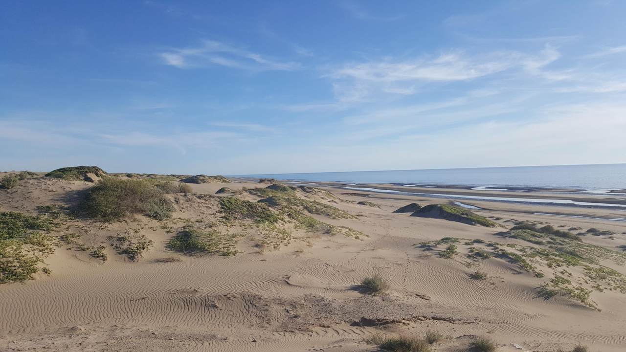 M 1 L 32 Las Dunas - Photo 1