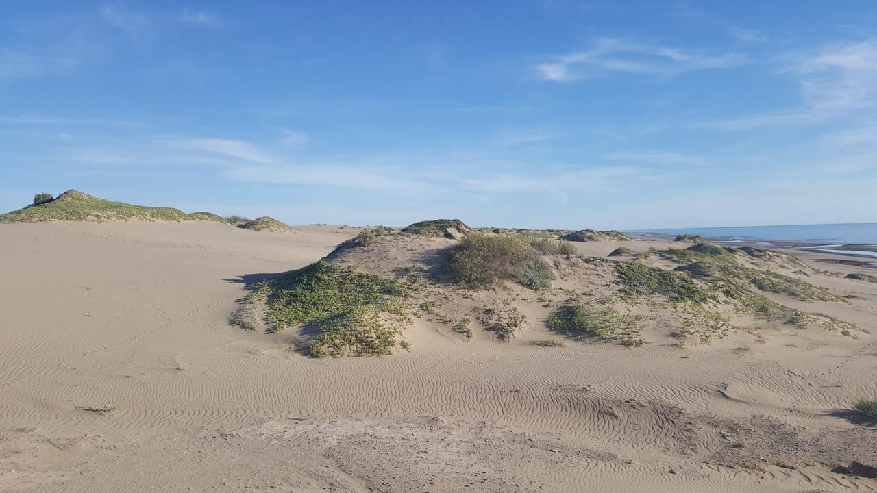 M1L56 Las Dunas - Photo 1