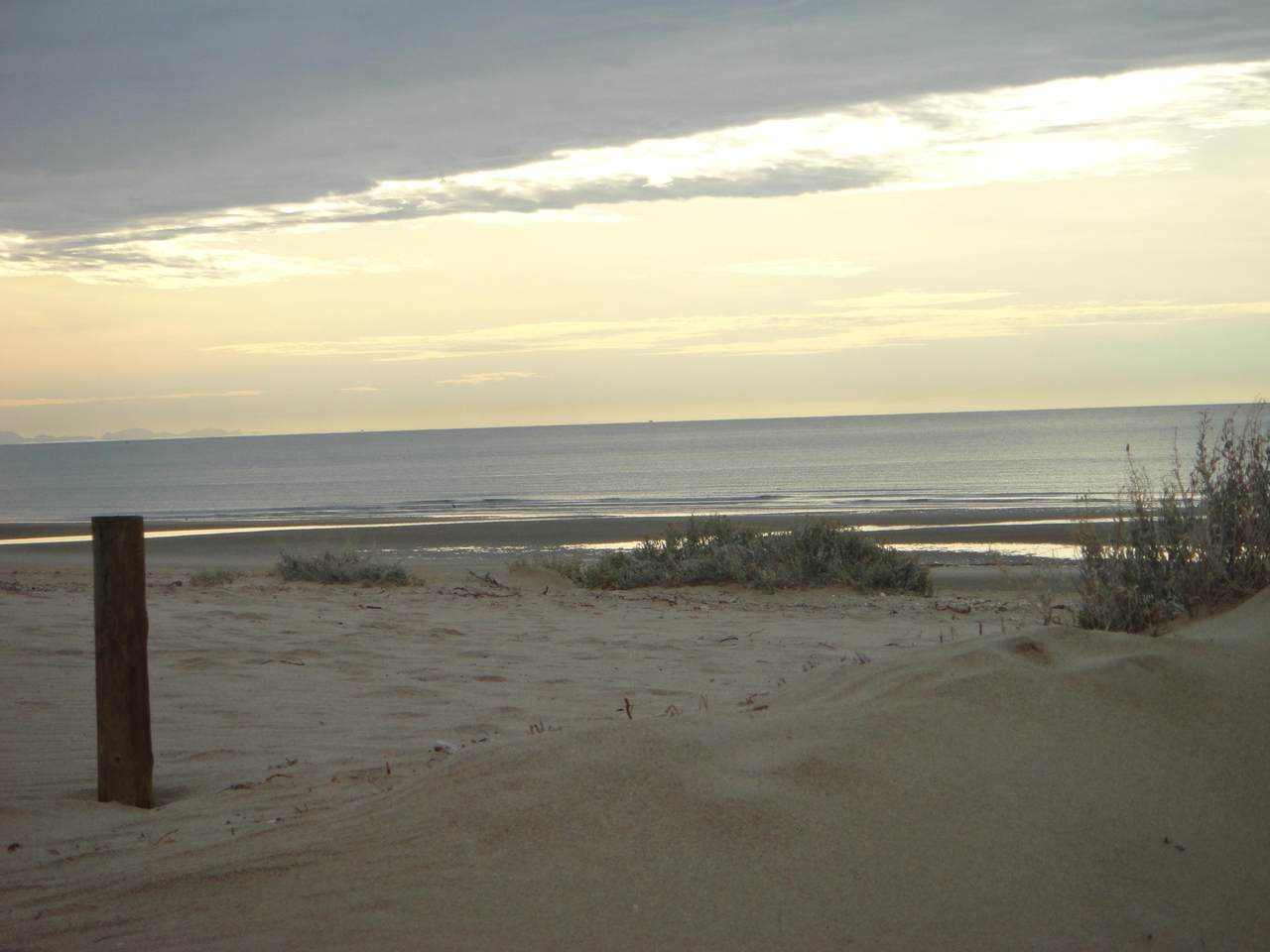 M14 L1 Estero Morua Drive - Photo 1