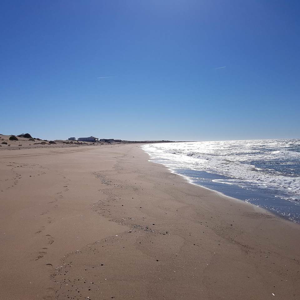 M1 L20 Playa Paloma - Photo 1