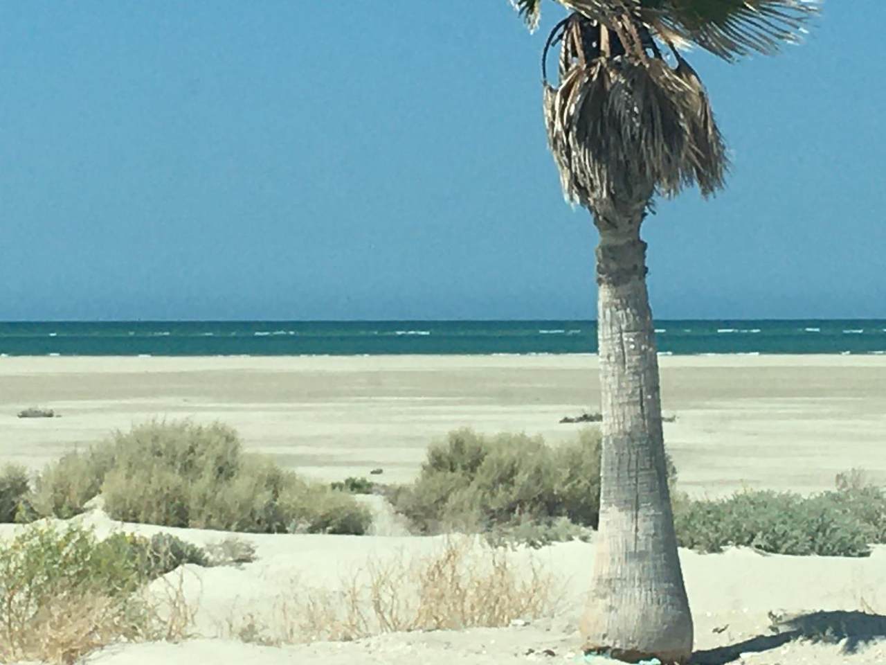 L0P.1.30 Km 36, Playa San Jorge - Photo 1