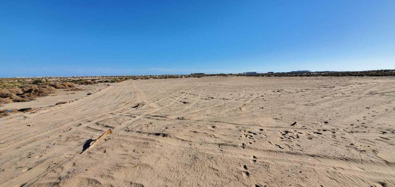 C16 Blv Freemont - Photo 1