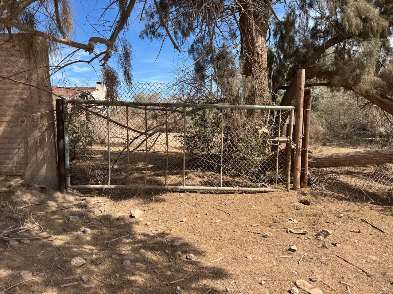 P173Z2P3/8 Camino A San Jose De Guaymas - Photo 1