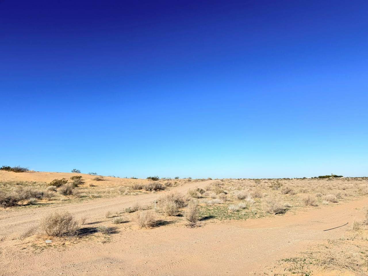 mz760lt3-5 Las Lagrimas - Photo 1