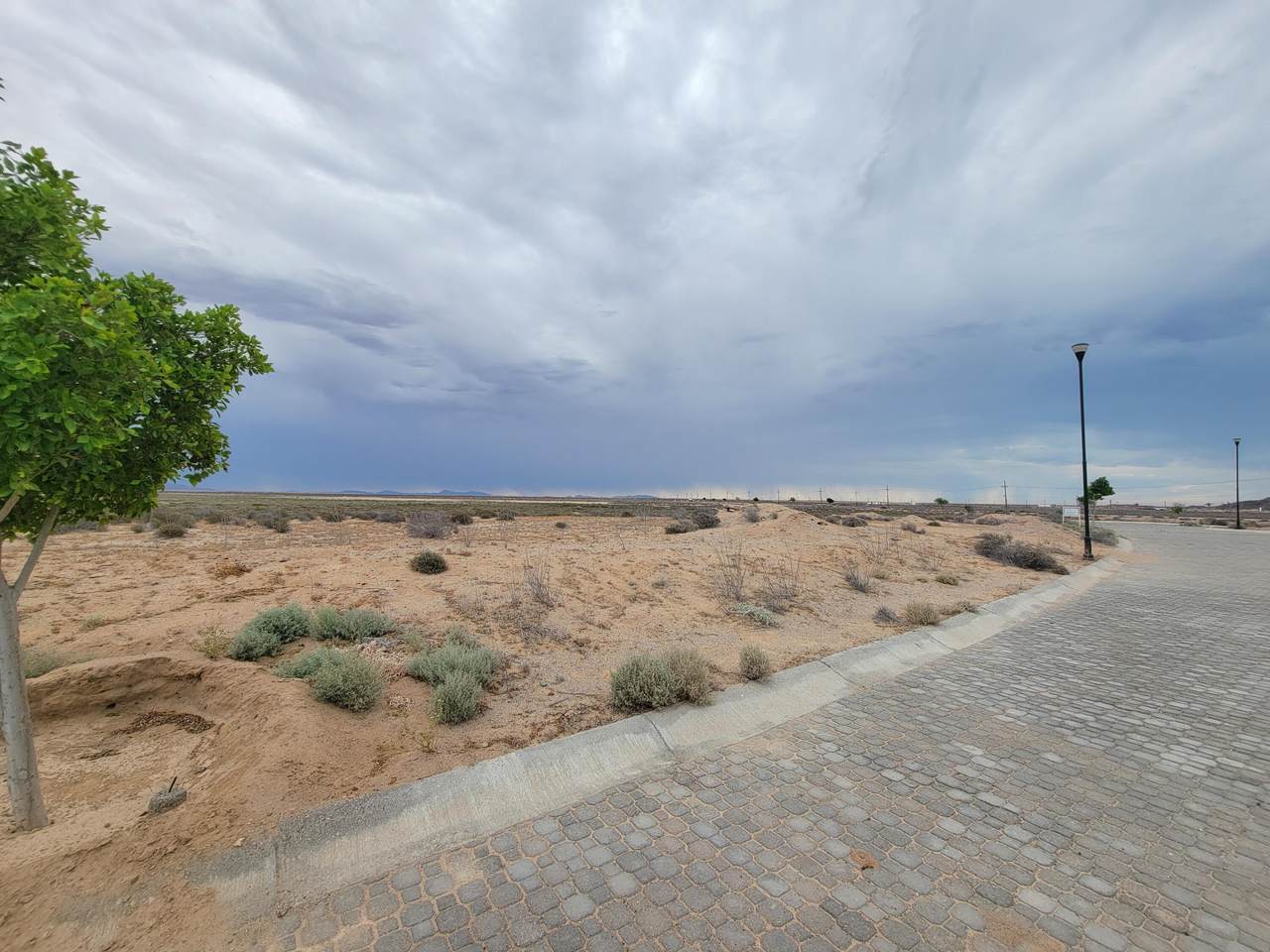 F2M4L19 Av. Palo Fierro, Laguna Shores - Photo 1