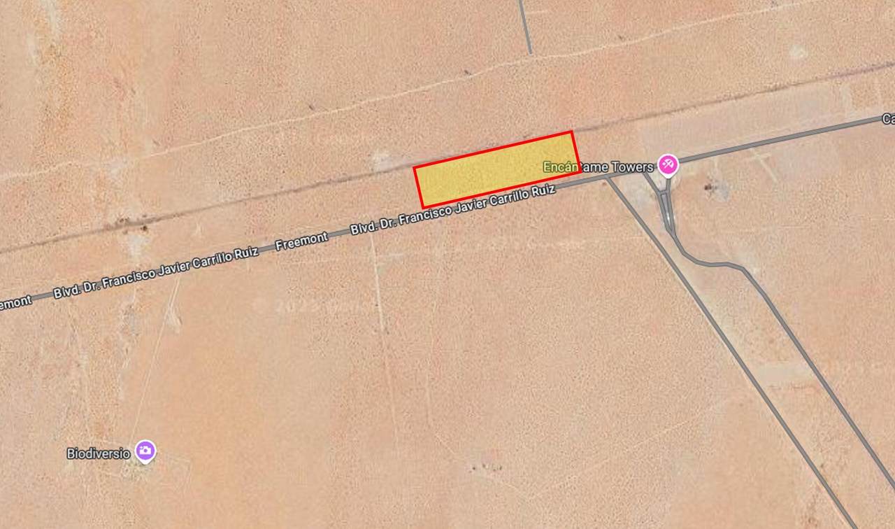 FI1-B12-1 Blvd. Freemont - Photo 1