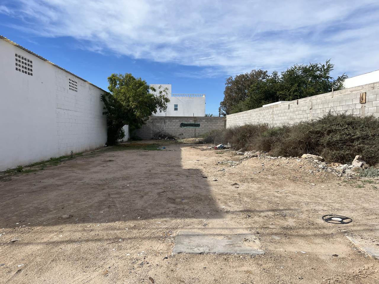 M7 LF Av Cipress - Photo 1