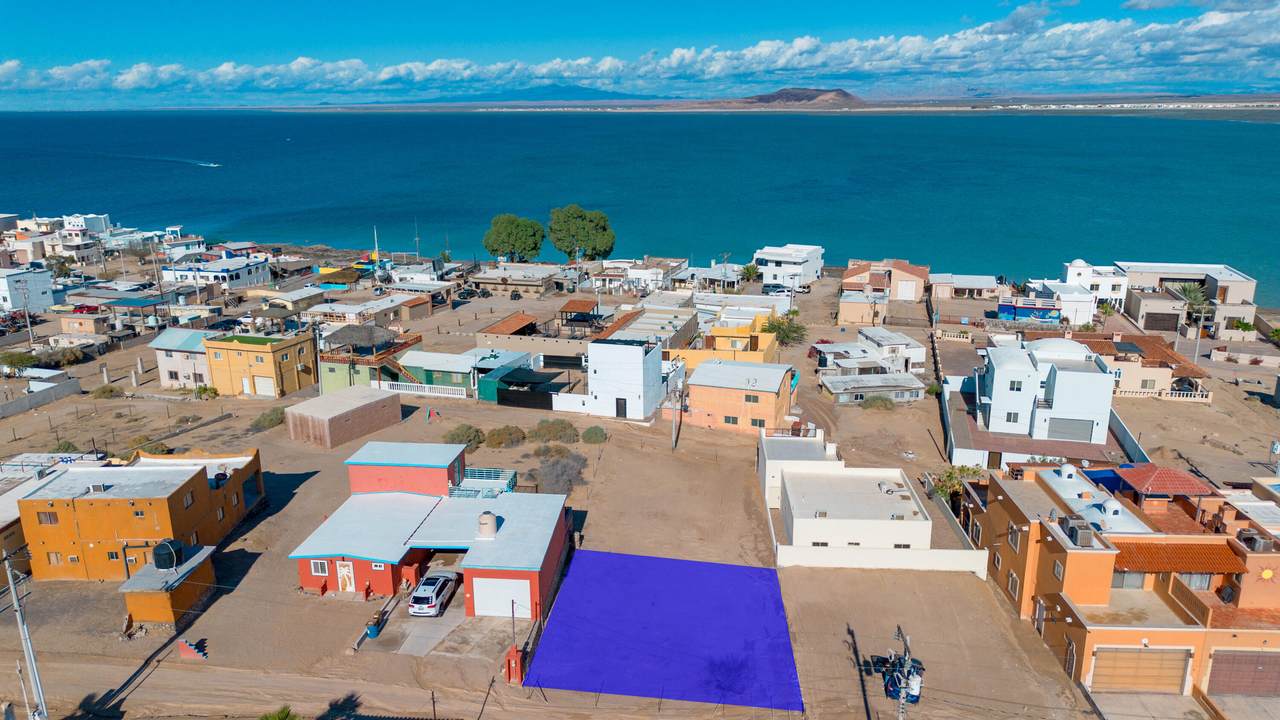 M32 L7 La Cholla Ave La Ballena - Photo 1