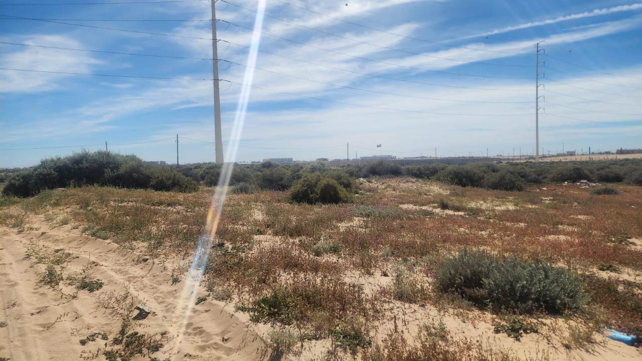 M290L2,3, Eduardo Ibarra Y Freemont - Photo 1