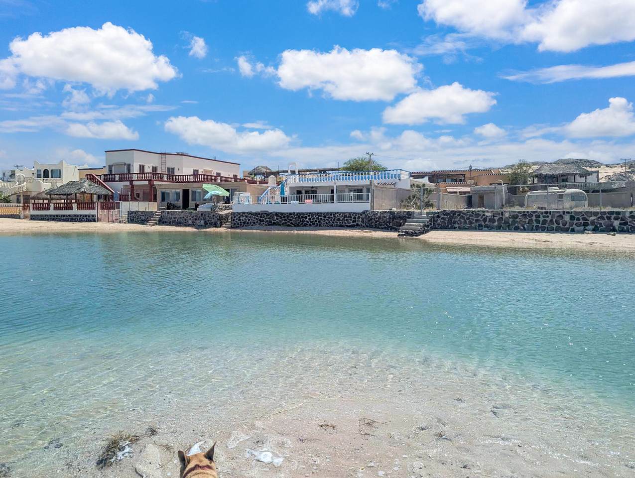 M68 L46 Ave Calamar - Photo 1