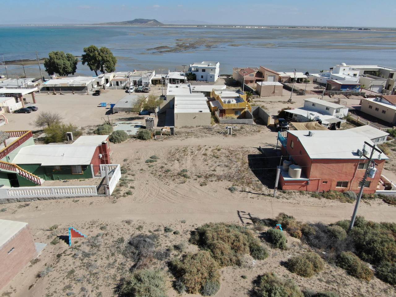 M33 L12 Lobo Marino Cholla Bay - Photo 1