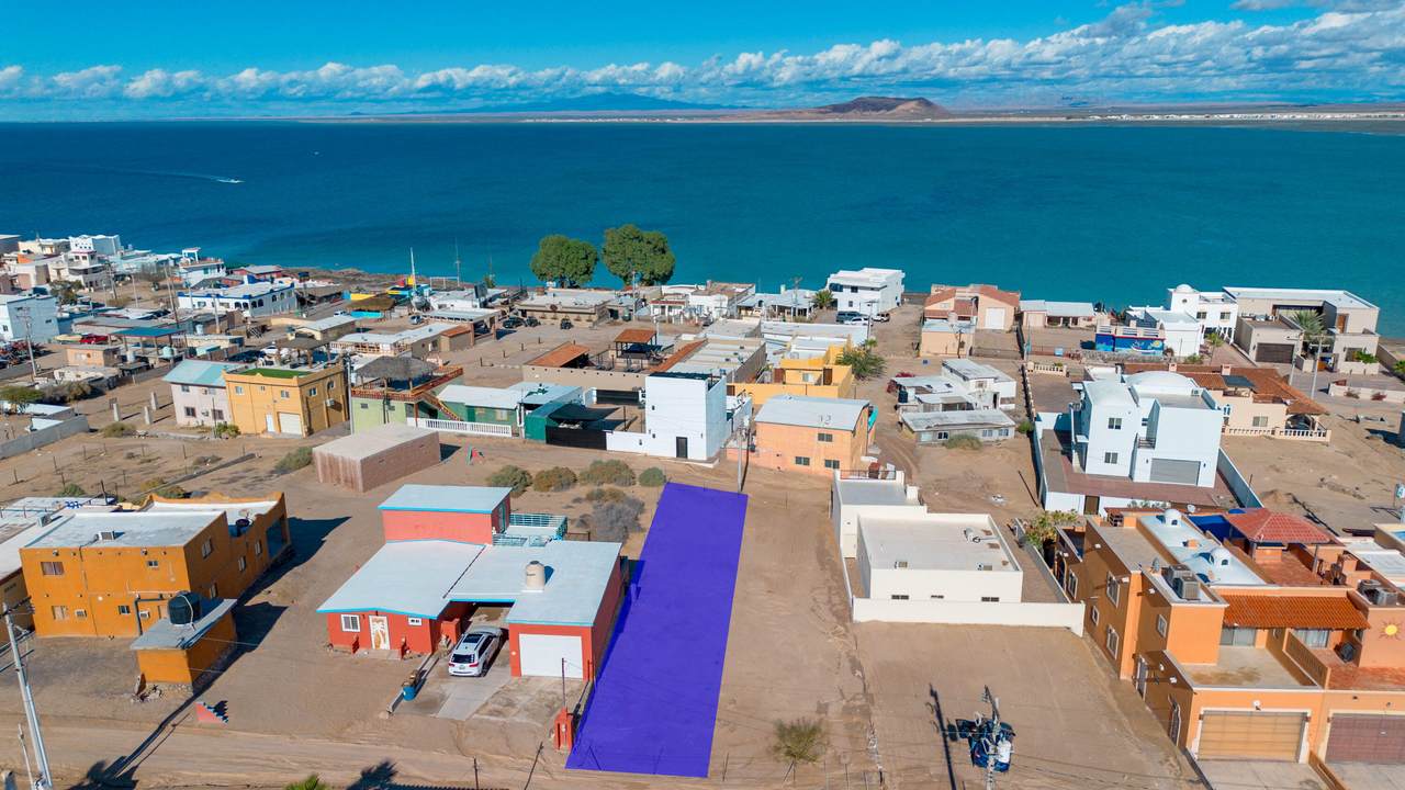 M32 L7 La Cholla Ave La Ballena - Photo 1