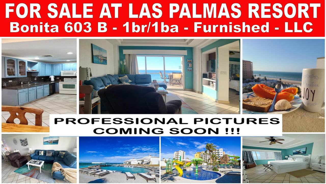 603B Las Palmas - Photo 1