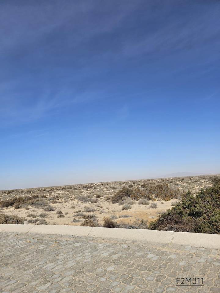 F2M3L11 Av. Palo Fierro, Laguna Shores - Photo 1