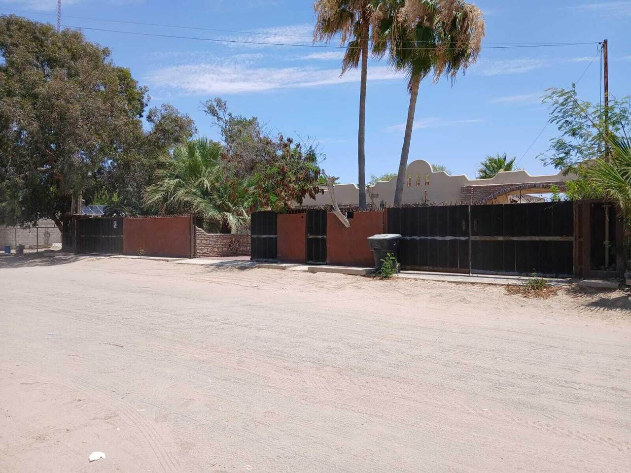 1 Chihuahua Y Arista - Photo 1