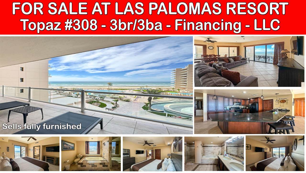 308 Las Palomas - Photo 1