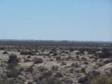 342 Z5 P1/ Las Lagrimas - Photo 14