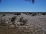 365 Z5 P1/ Las Lagrimas - Photo 16