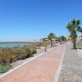 M17 L11 Camino Laguna Shores - Photo 24