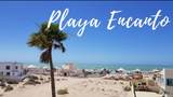 FI1B123A Ctra.A Caborca Playa Encanto - Photo 10