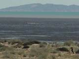 Lot 87 Black Mountain - Photo 4