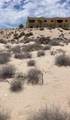 M12 L1 Abulones Playa La Jolla - Photo 3
