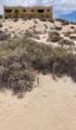 M12 L1 Abulones Playa La Jolla - Photo 4