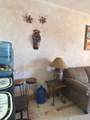321 Pinacate - Photo 18