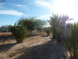 M25 L04 Calle Juan.Ave 2 Lopez Aceves - Photo 22