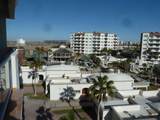 502 Las Palmas Resort - Photo 34