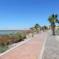 M22 L1 Av De Los Delfines, Laguna S - Photo 20