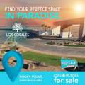 M2 L51 Av Costa Diamante Sandy Beach - Photo 10