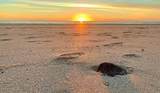 ME3 L25 Islas Conchillas, - Photo 44