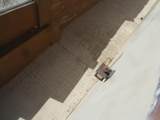 S1 Lot 17 Viento Del Mar - Las Conchas - Photo 64