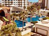 203A Las Palmas - Photo 21