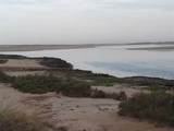 M19 S1 L56 Los Cirios Puerto Libertad - Photo 20